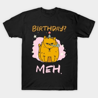 Birthday Meh Cat T-Shirt